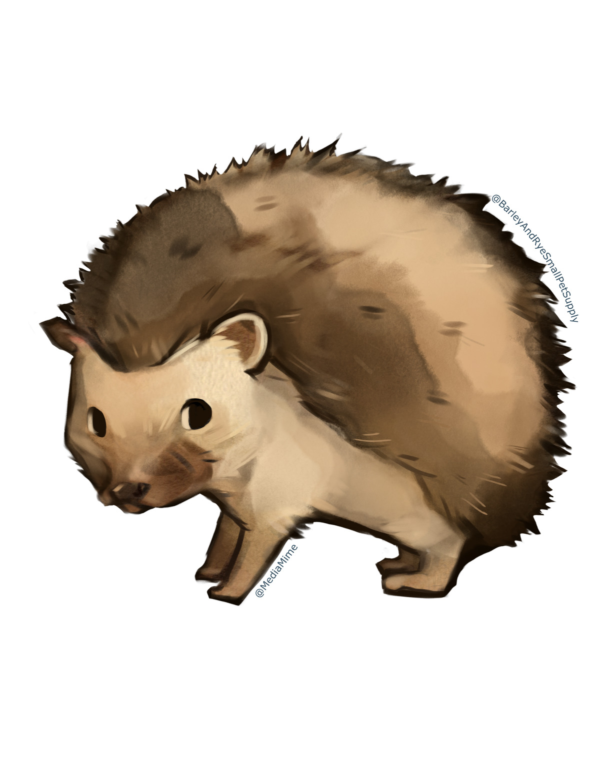 Hedgehog