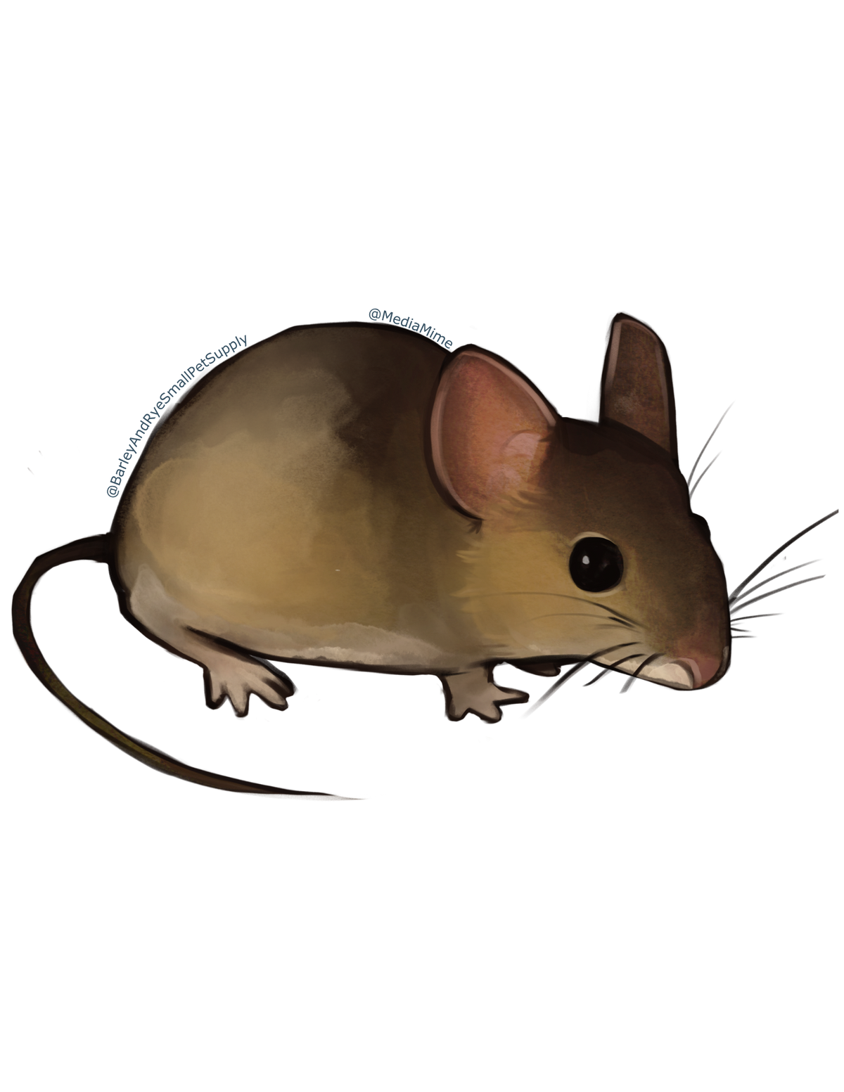 Mouse