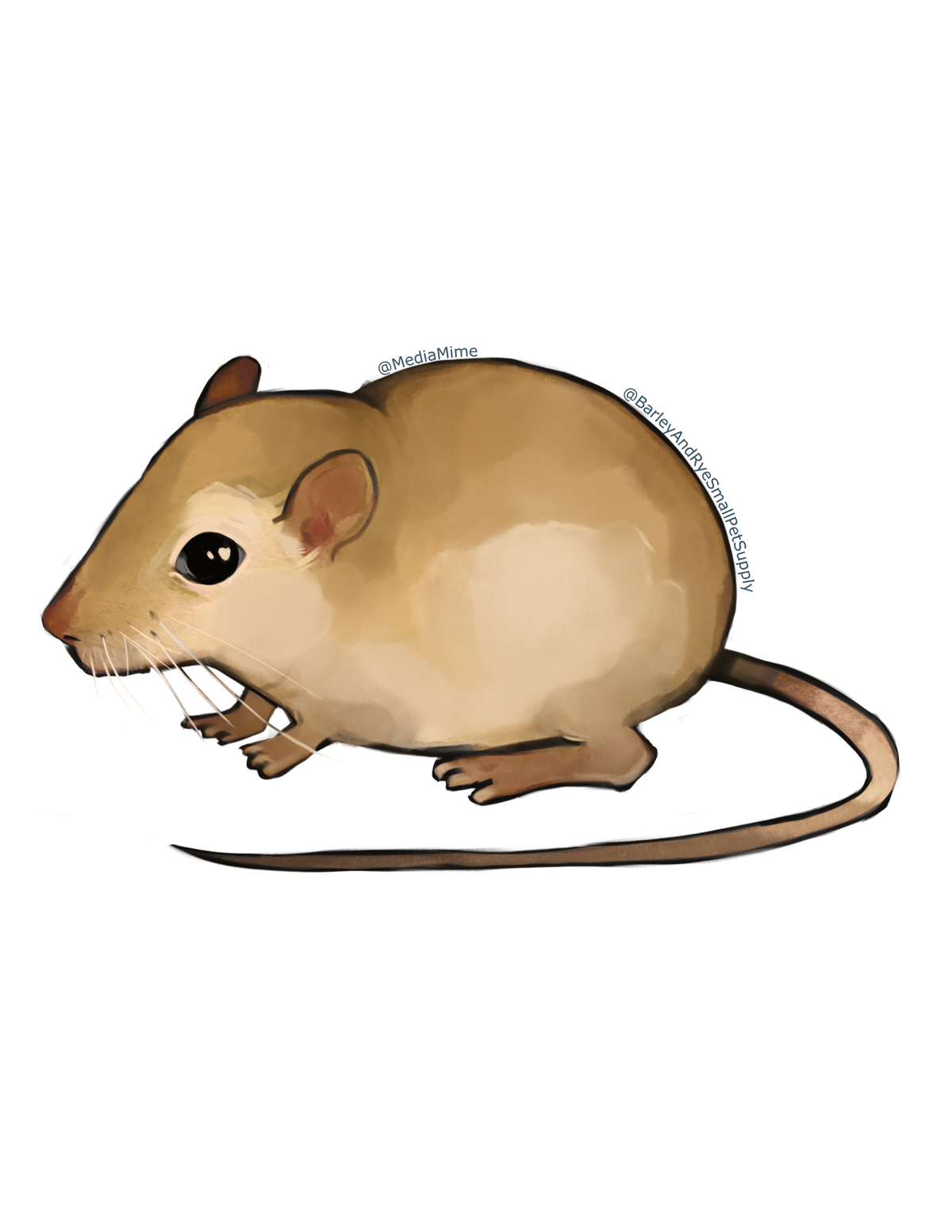 Gerbil
