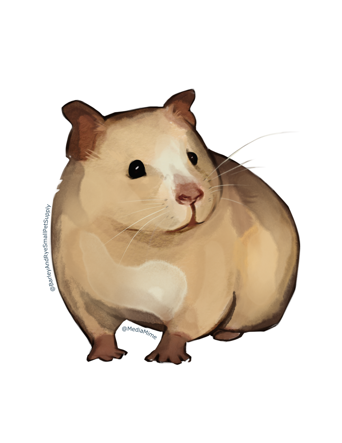Hamster