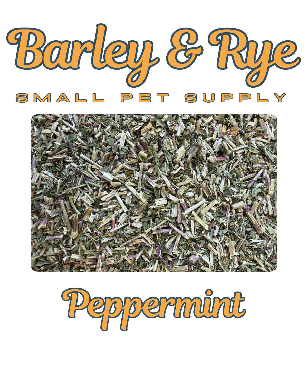 Peppermint Forage