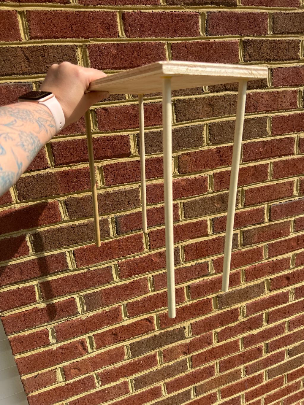 Hamster Platform
