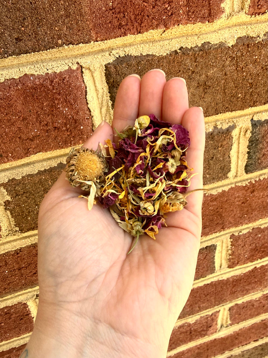 Floral Forage Blend — Chamomile, Calendula & Rose | Small Pet Botanical Treat