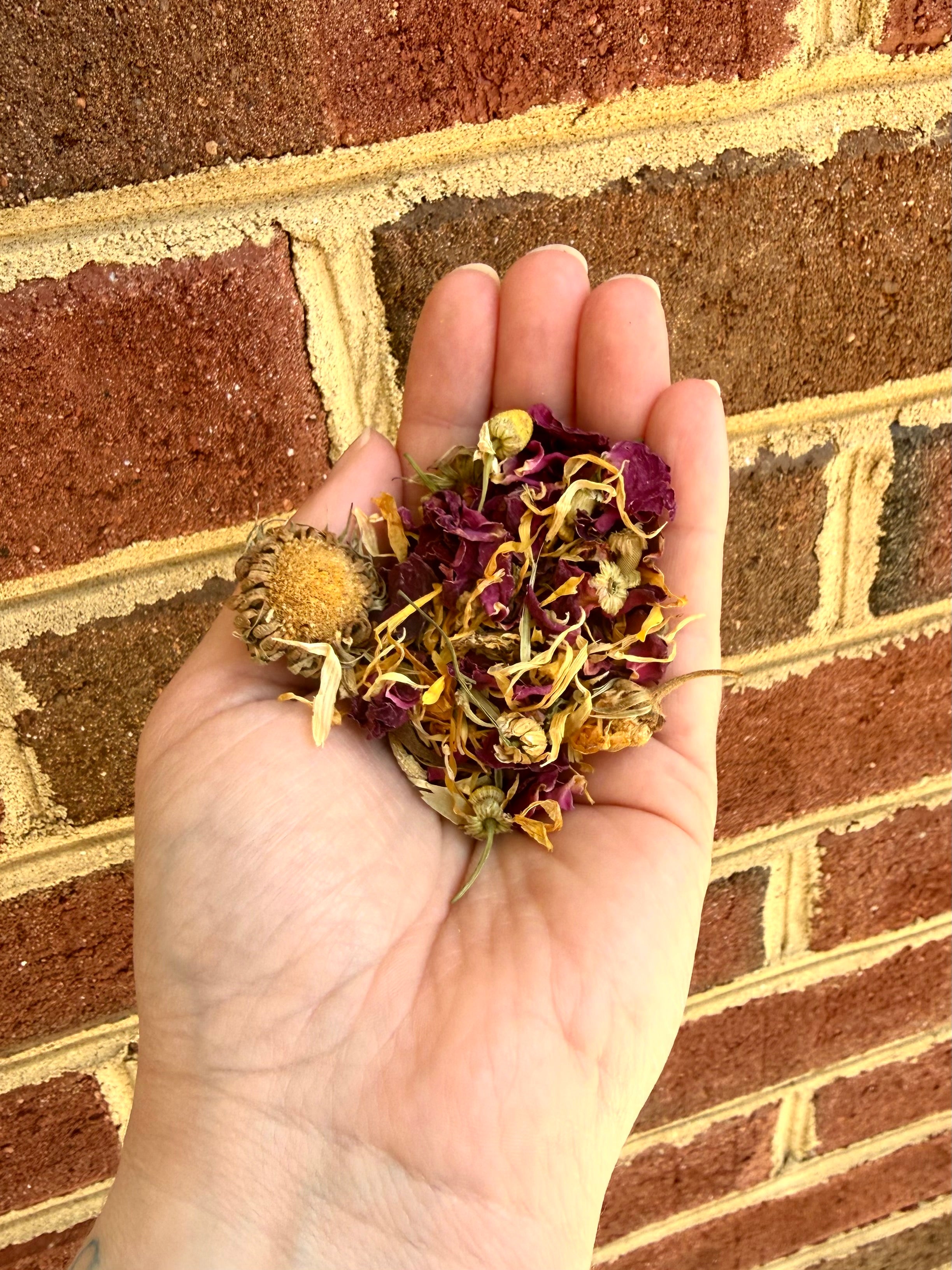 Floral Forage Blend — Chamomile, Calendula & Rose | Small Pet Botanical Treat