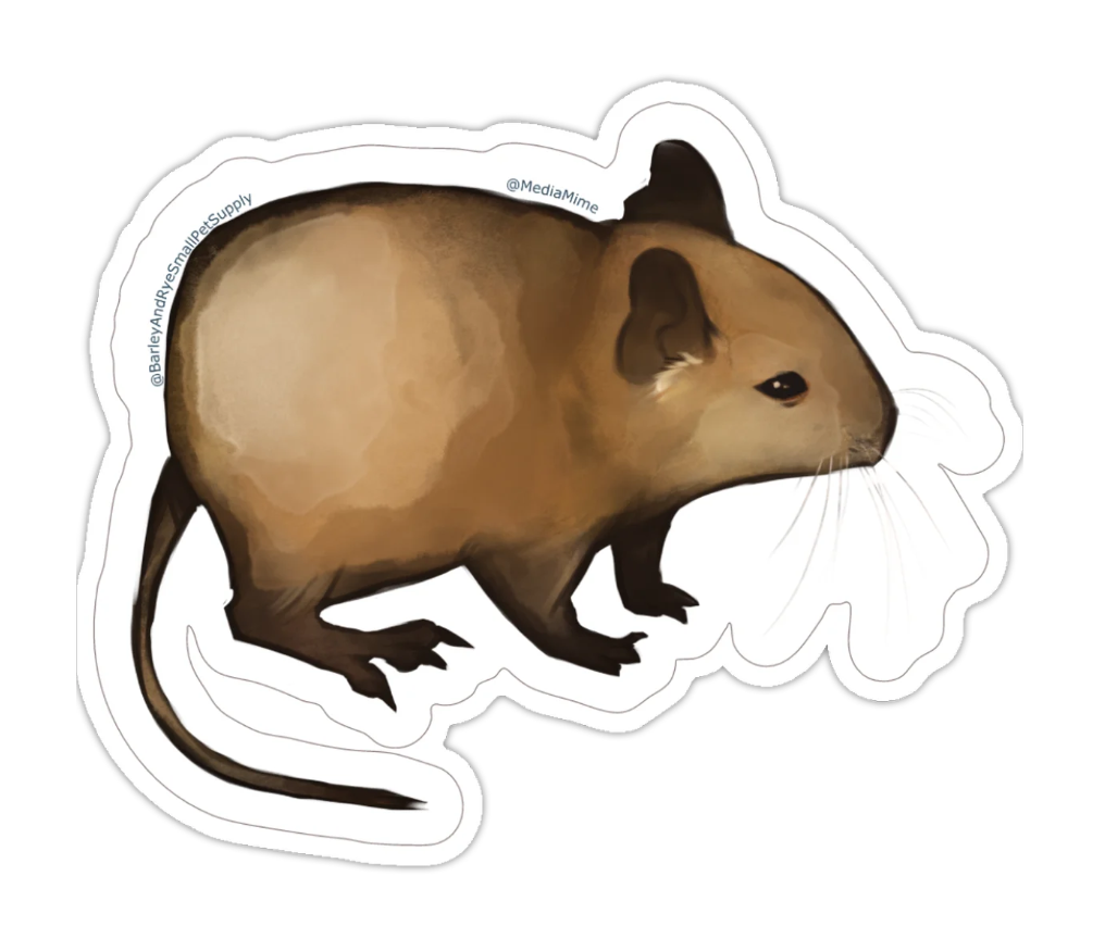 3x3 Die Cut Stickers