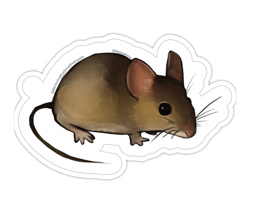 3x3 Die Cut Stickers