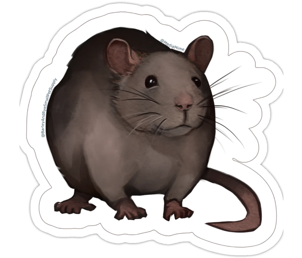 3x3 Die Cut Stickers